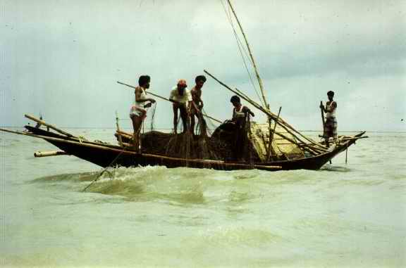 Eating Fish, Be Careful…..A team of doctors in Kerela had to remove a fish bone…