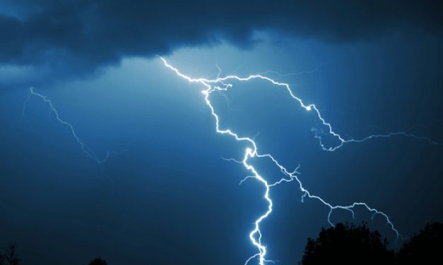 High Incidence of Lightning Strikes Worries Odisha Govt., Orders Study