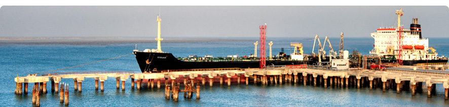 Essar Ports registers 19% growth in cargo handling in H1 FY17-18
