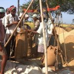 Odisha to procure 66 lakh tonnes of paddy this kharif at Rs 3,100 per quintal