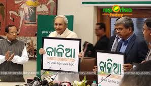 Naveen launches Rs 10K crore Kalia scheme for farmers