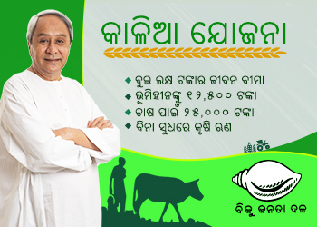 Keeping poll promises Naveen expands Kalia list by 32 lakh, to dish out Rs 3,234 crore