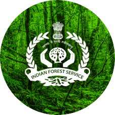 Odisha posted 12 senior IFS officers in a major reshuffle
