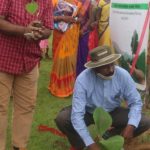 India’s largest plantation program in a single district launched in Odisha, 5 million trees for elephant corridor