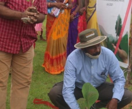 India’s largest plantation program in a single district launched in Odisha, 5 million trees for elephant corridor