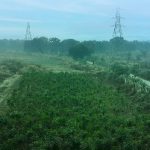 Vedanta Aluminium’s Jamkhani Mine Rated 4-Star by Coal Ministry