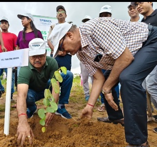 TPWODL plants Over 4,300 saplings across Western Odisha